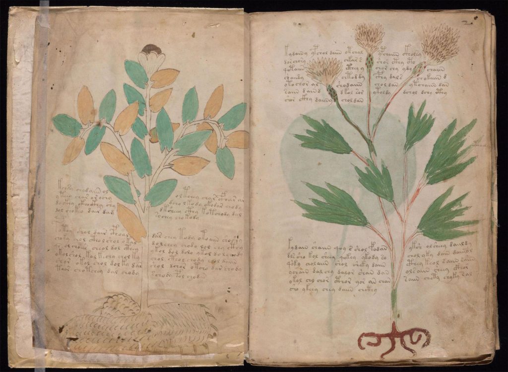 ヴォイニッチ手稿